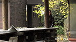 On Top 1080p Got2Pee mp4