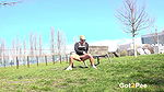 Park Relief 1080p Got2pee