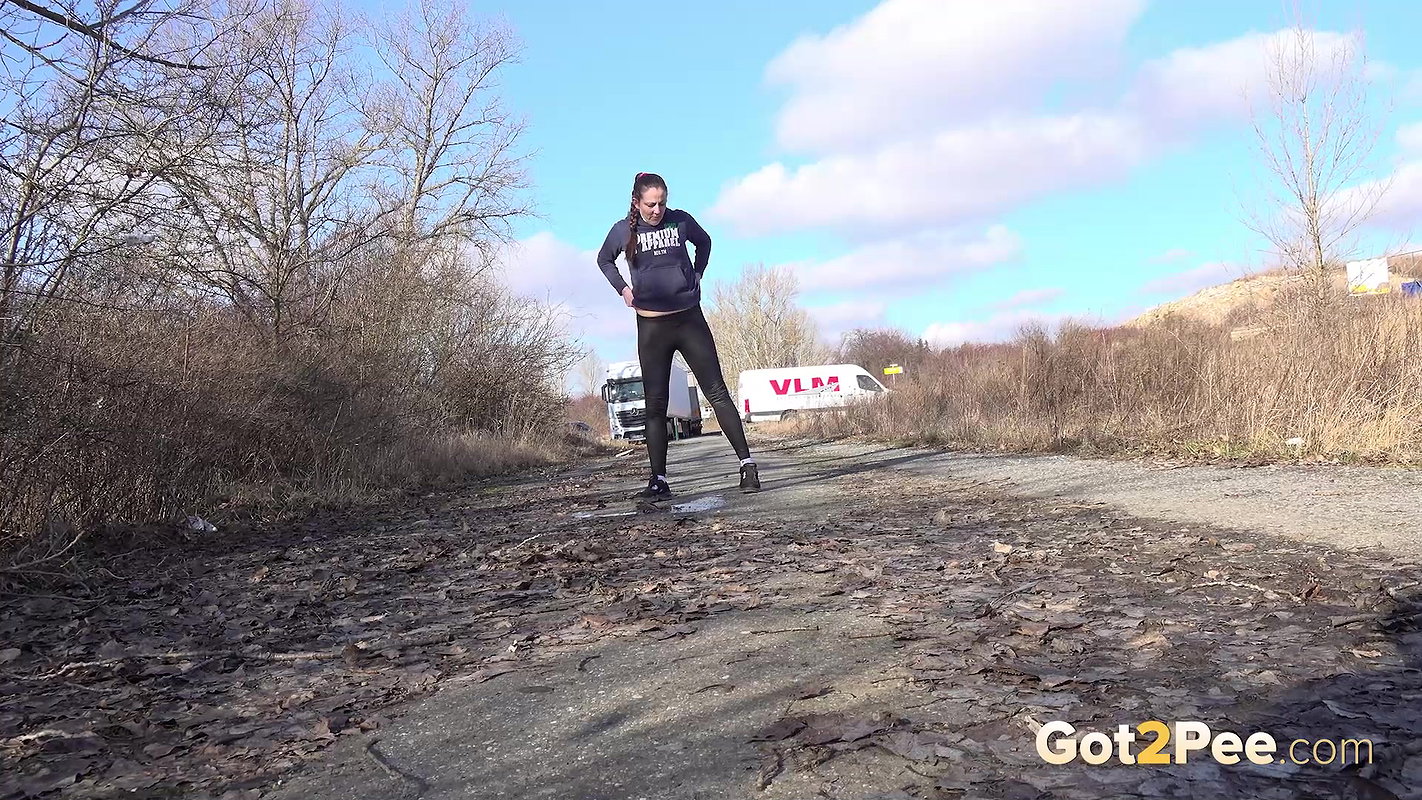 Parked Up 1080p Got2Pee Com