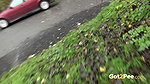 Pee And Rain 1080p Got2pee Com