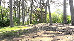 Peeing brunette in the forest Got2Pee