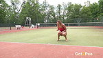 Pink High Heels 1080p Got2Pee Com