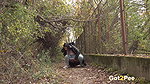Pissy Puddle Path 1080p Got2Pee