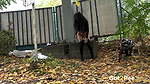 Raven Haired Shalina Shine Squats To Pee Got2pee