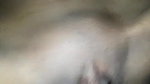 Her shaved cunt fucking