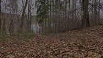Spraying Over Leaves 1080p Got2Pee