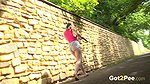 Stone Wall Relief 1080p Got2Pee