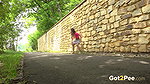 Stone Wall Relief 1080p Got2Pee