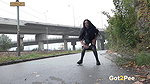 Stunning Dark Haired Babe Squats And Pees Got2pee