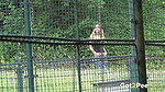 Tip Toed Pee 1080p Got2Pee mp4
