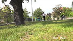 Traffic Distraction 1080p Got2Pee