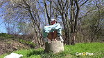 Trickling On The Grass 1080p Got2pee