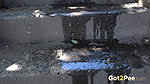 Trickling Steps 1080p Got2Pee Com