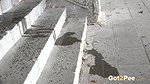 White Sweater 1080p Got2Pee Com