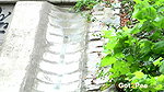 Wind Catcher 1080p Got2Pee Com