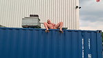 vil Sophie Ship Container Piss From Lofty Heights Just Let Everything Run