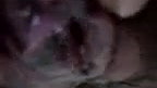 Close-up fingering