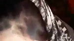 Beautiful Cute Paki Girl Blowjob