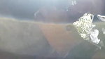 Beautiful girl giving blowjob outdoor when they gone for jungle trip