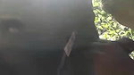 Beautiful girl giving blowjob outdoor when they gone for jungle trip