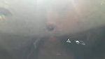Beautiful girl giving blowjob outdoor when they gone for jungle trip