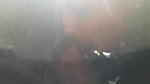 Beautiful girl giving blowjob outdoor when they gone for jungle trip