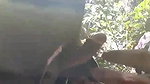 Beautiful girl giving blowjob outdoor when they gone for jungle trip