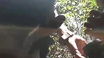 Beautiful girl giving blowjob outdoor when they gone for jungle trip