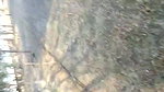 Village unsatisfied bhabhi fingering