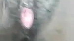 Bhabhi fucking