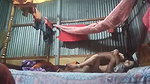 Desi bhabhi fucking