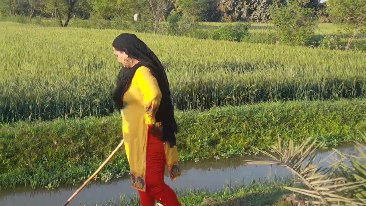 Frame 10