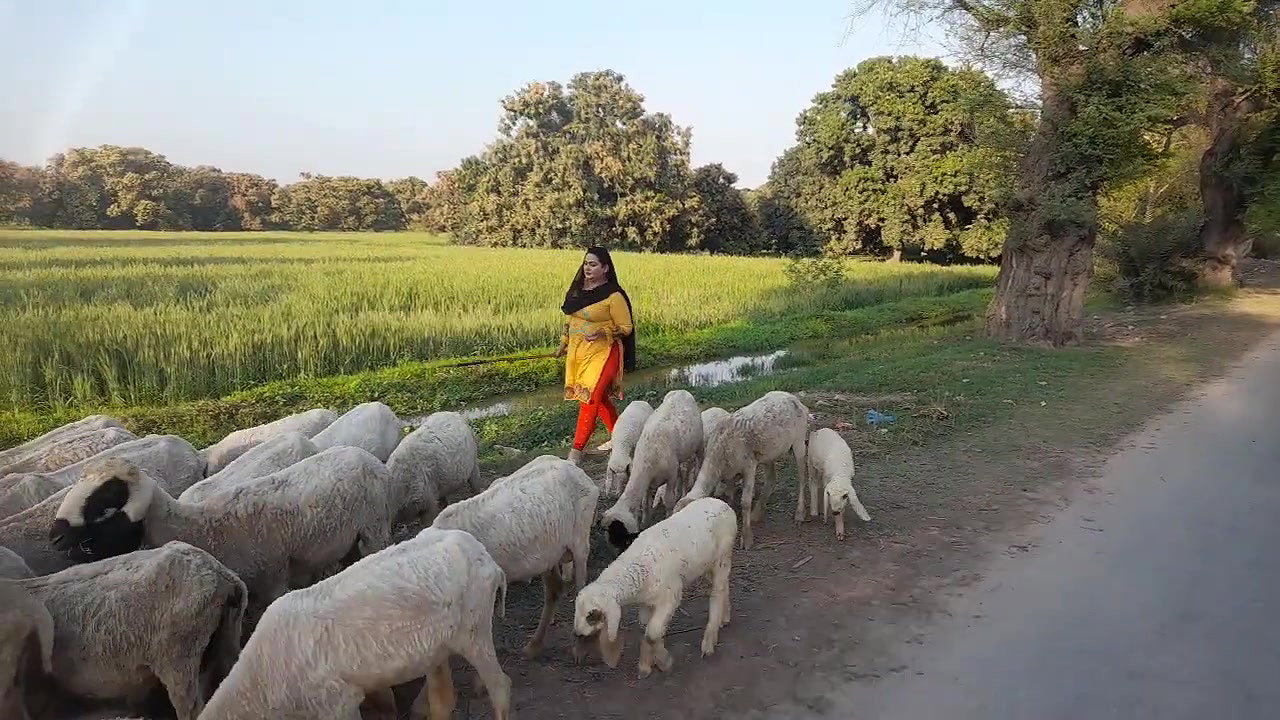 Village Woman treadional Living Style Pakistan Village Life Desi Aunty New Hot Vlog 2025
