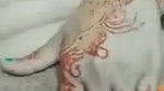 Sexy Girl Showing And Fingering