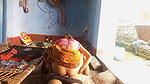 Deshi village bhabhi outdoor riding sex deshi sex