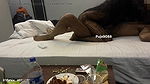 Bangali wife share husband friend hotel room
