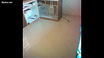 middle age office staff fuck inside office floor