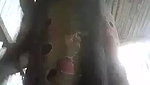 Desi Village Girl Showing And Fingering
