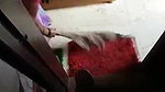 Funny dick flash