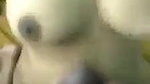 Blowjob to fat dick