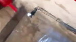 Village wife sexy clips