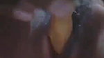 Horny Desi Girl Masturbating