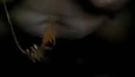 Mature couple fucking