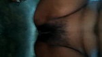 Village bhabhi mms