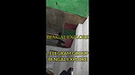 Sonagachi fucking video