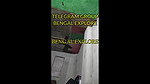 Sonagachi fucking video