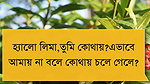 Bengali sexy love story
