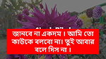 Chudachudi new story