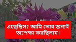 Chudachudi new story