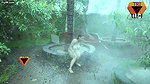 Nude Rain Dance (2022) – TriFlicks
